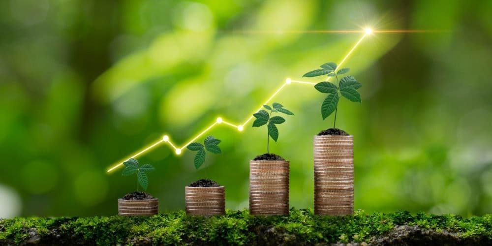 Finance & Insurance Services in Anaheim
